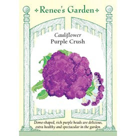 Open image in slideshow, Cauliflower Purple Crush by Renee's Garden
