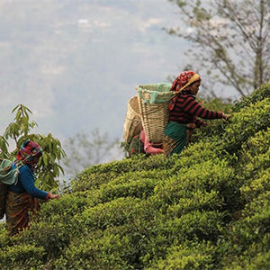 Rishi Tea, Organic Wild Harvested, Fare Trade