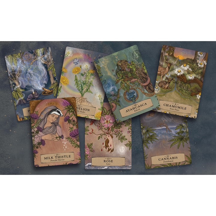 The Herbal Astrology Oracle: A 55-Card Deck and Guidebook Cards by Adriana Ayales (Author), Joséphine Klerks (Illustrator)