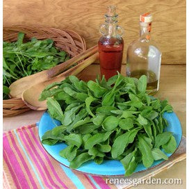 Arugula Italiian, Kitchen Herb by Renee's Garden