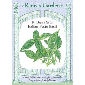 Basil Italian Pesto, Kitchen Herb by Renee's Garden