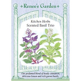 Basil Scented Trio, Kitchen Herb by Renee's Garden