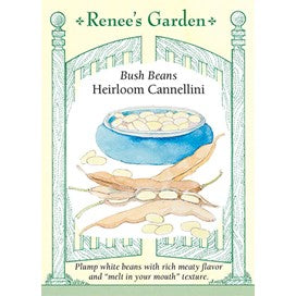 Bean Bush Cannelini by Renee's Garden