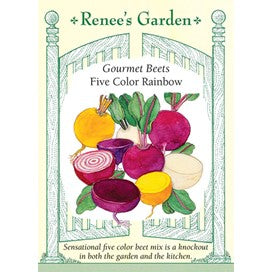 Beets Five Color Rainbow by Renee's Garden