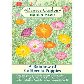 A Rainbow of California Poppies Bonus Pack by Renee's Garden