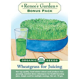 Wheatgrass for Juicing: Bonus Pack by Renee's Garden