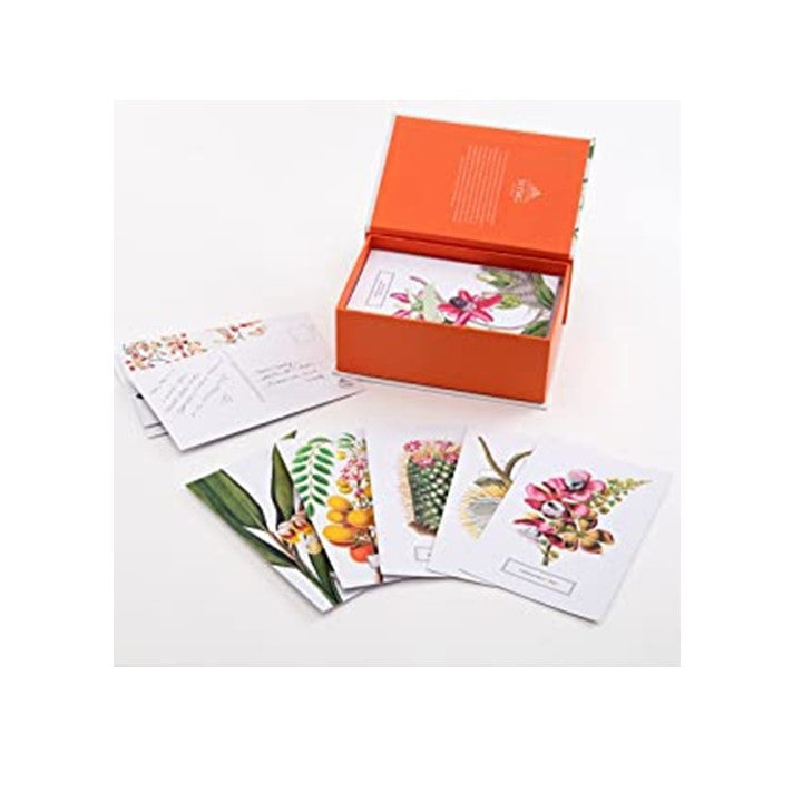 Botanicals: 100 Postcards from the Archives of the New York Botanical Garden Cards by The New York Botanical Garden