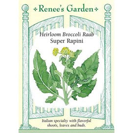 Broccoli Raab Super Rapini by Renee's Garden