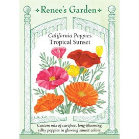 California Poppy Tropical Sunset by Renee's Garden