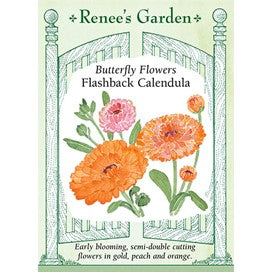 Canendula Flashback by Renee's Garden