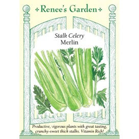 Celery, Merlin by Renee's Garden