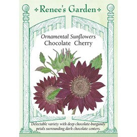 Ornamental Sunflower: Chocolate Cherry by Renee's Garden