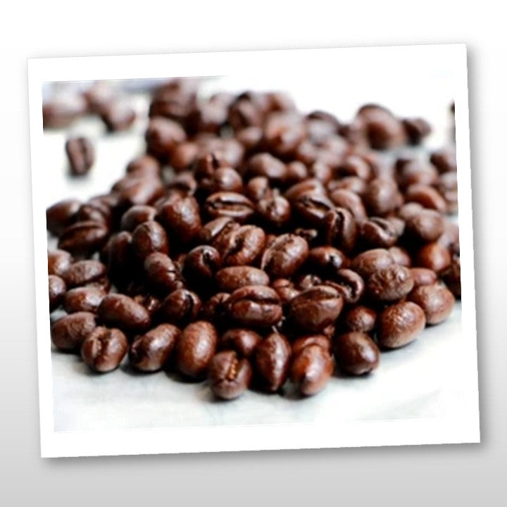 Oaxaca Profundo Ground Coffee Beans 1 lb
