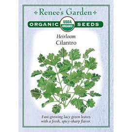 Cilantro, Heirloom Organic by Renee's Garden