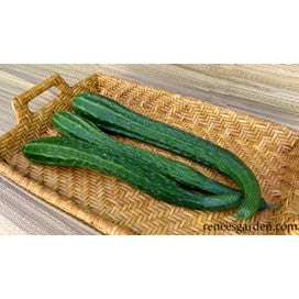Cucumber, Suyo Long, Chinese Heirloom Organic by Renee's Garden