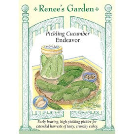 Cucumber, Pickling, Endeavor by Renee's Garden