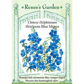 Delphinium, Chinese, Blue Mirror by Renee's Garden
