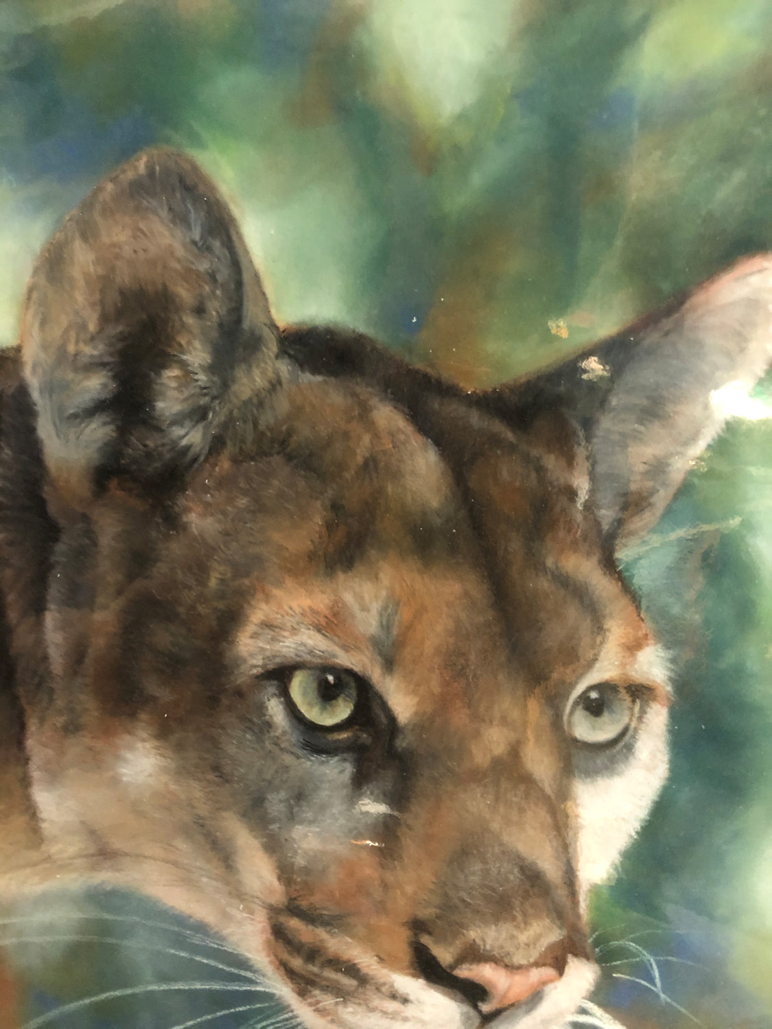 Original Pastel by Elaine Reaume, Signed on acid free paper:The Endangered Eastern Cougar