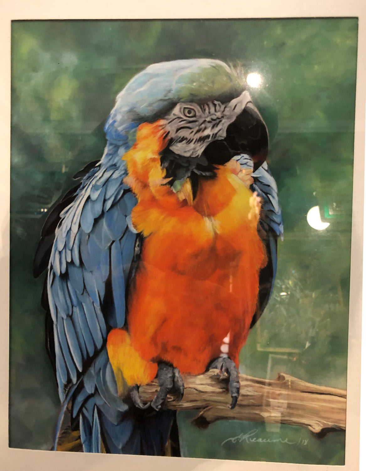 Original Pastel by Elaine Reaume, Signed on Acid Free Paper: Parrot With a Big Heart