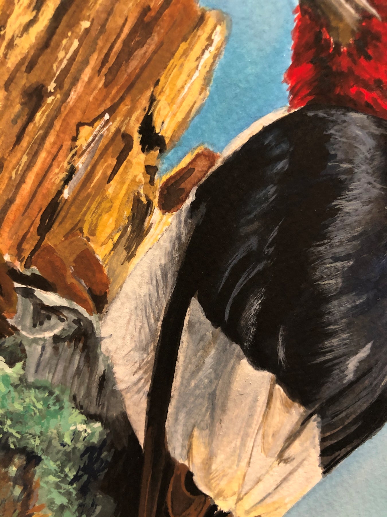 Original Gouache Painting by Elaine Reaume, Signed on Acid Free Paper: Red Headed Woodpecker