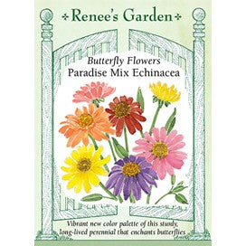 Echinacea Paradise Mix by Renee's Garden