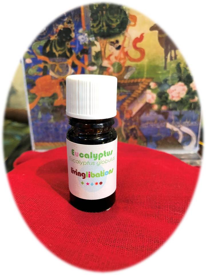 Eucalyptus Essential Oil by Living Libations 5 mil.
