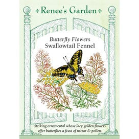 Fennel, Swallowtail, Kitchen Herb and Butterfly Flower by Renee's Garden