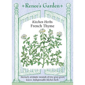 French Thyme by Renee's Garden