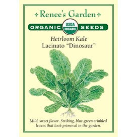 Kale, Heirloom Organic-Dinosaur by Renee's Garden