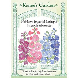 Larkspur, French Alouette, Heirloom by Renee's Garden