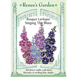 Larkspur: Singing the Blues by Renee's Garden