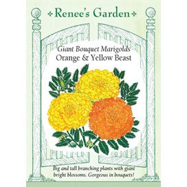 Marigolds, Giant Orange & Yellow by Renee's Garden