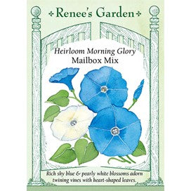Morning Glory, Heirloom, Mailbox Mix by Renee's Garden
