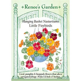 Nasturtiums for Hanging Baskets: Little Firebirds by Renee's Garden
