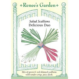 Onions, Salad Scallions Delicious Duo by Renee's Garden