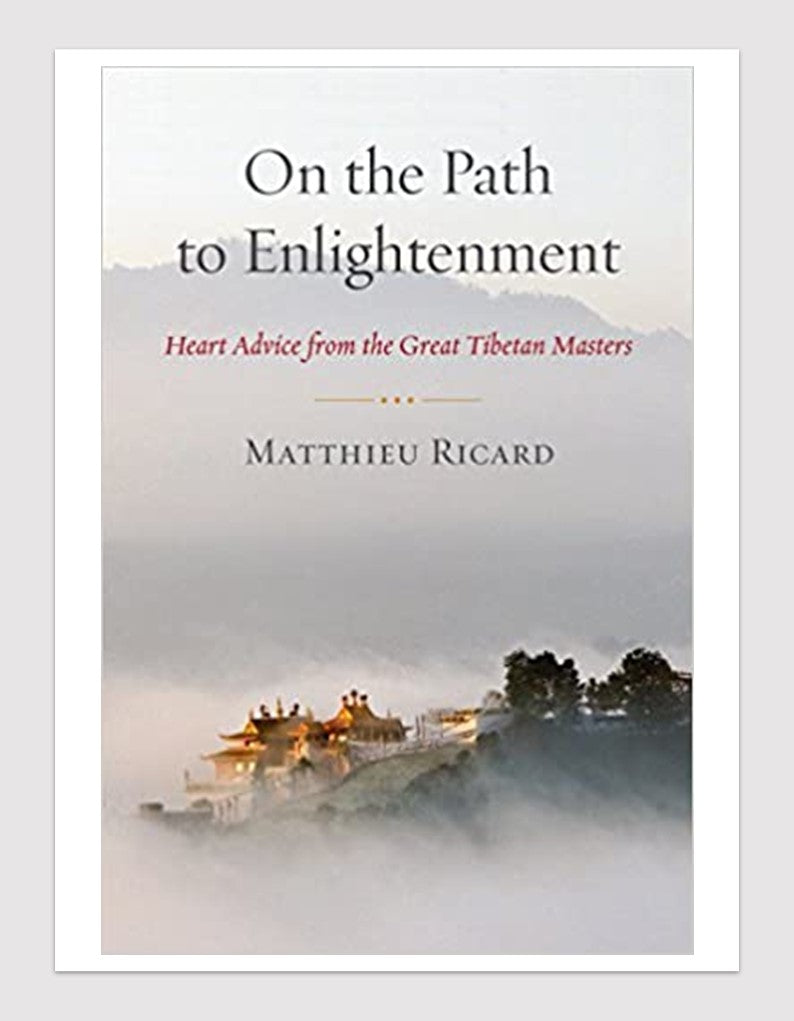 On The Path to Enlightenment by Mattieu Ricard