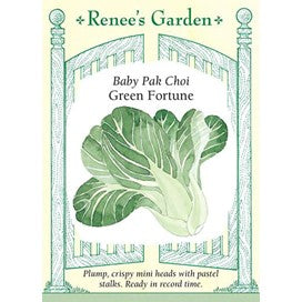 Pak Choy, Baby , Green Fortune by Renee's Garden