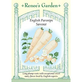 Parsnips, English by Renee's Garden