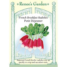 French Breakfast Readishes: Petit Dejeuner by Renee's Seeds
