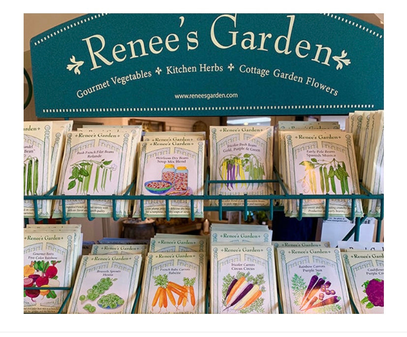 French Rosemary: Kitchen Herb by Renne's Garden