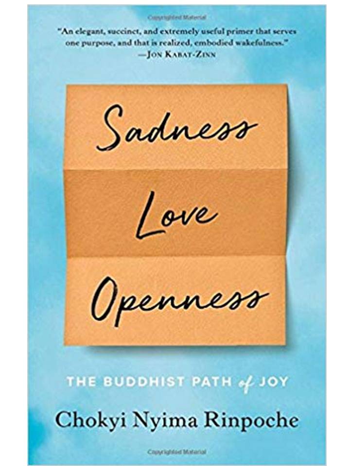 Sadness, Love, Openess: The Buddhist Path of Joy by Chokyi Nyima Rinpoche