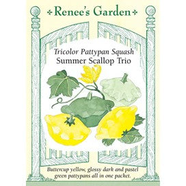 Squash: Summer Scallop Trio: Tricolor Pattypan by Renee's Garden