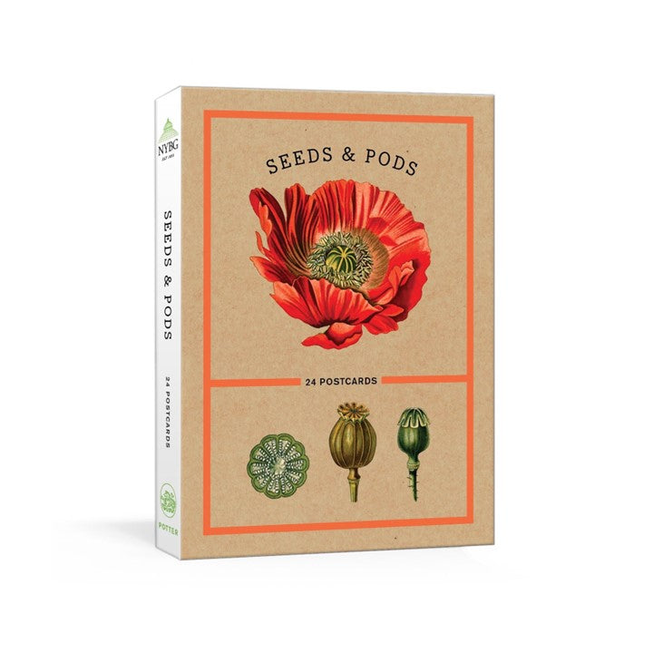 Seeds and Pods: 24 Postcards Cards  by The New York Botanical Garden