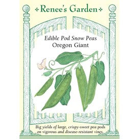 Snow Peas, Oregon Giant by Renee's Garden