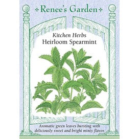 Spearmint: Heirloom Kitchen Herb by Renee's Garden