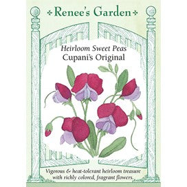Sweet Pea Cupani's Original : Heirloom by Renee's Garden