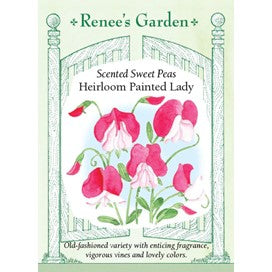 Sweet Pea: Heirloom Painted Lady by Renee's Garden