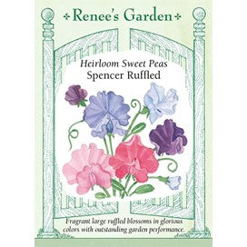 Sweet Peas: Heirloom Spencer Ruffled by Renee's Garden