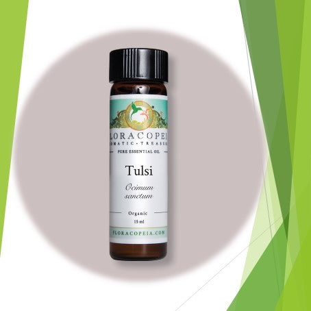Tulsi (Holy Basil) Organic Wild Harvested Essential Oil by Floracopea 1.5 ml.