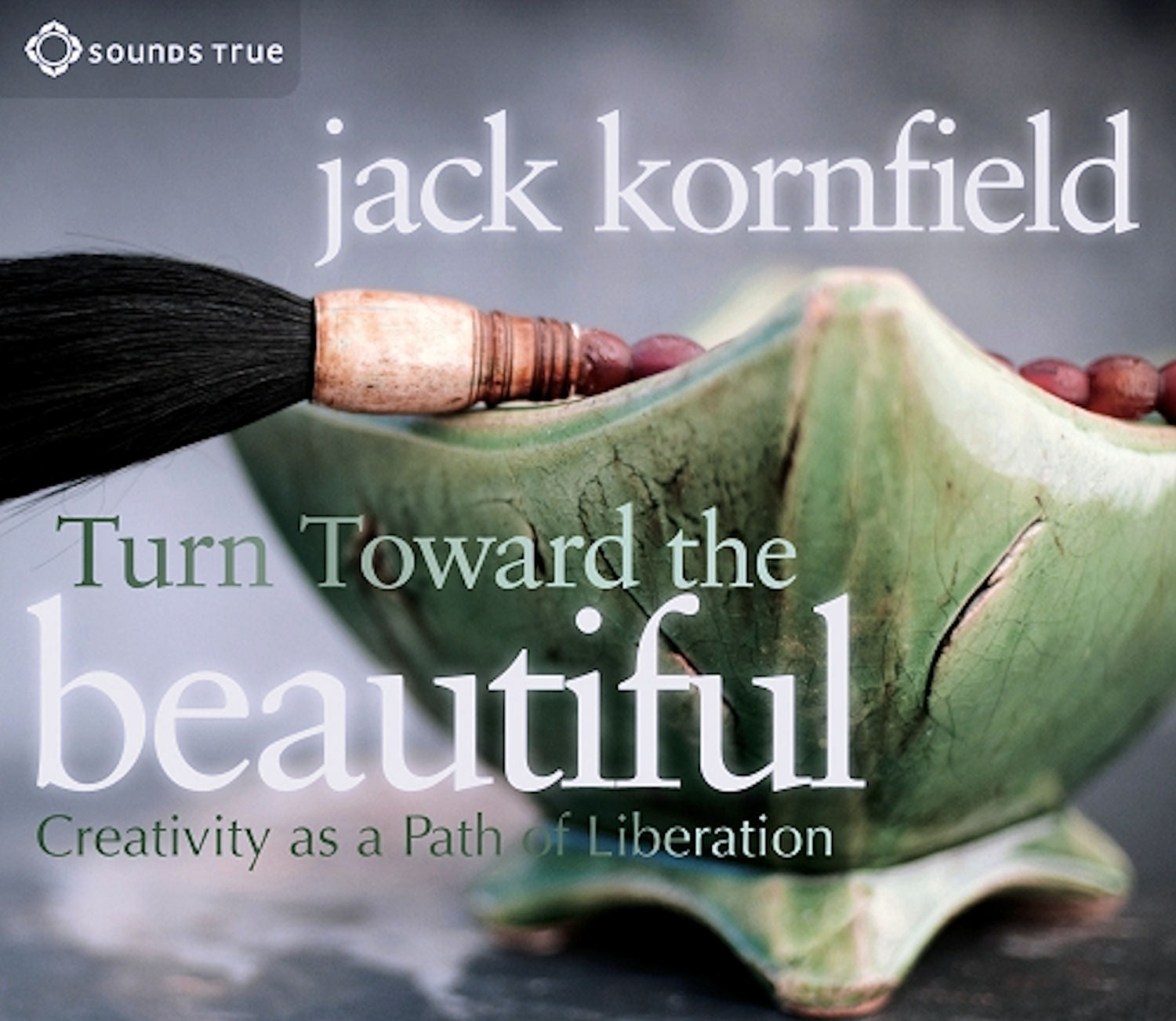 Jack Kornfield: Turn Towards The Beautiful   2 CD's